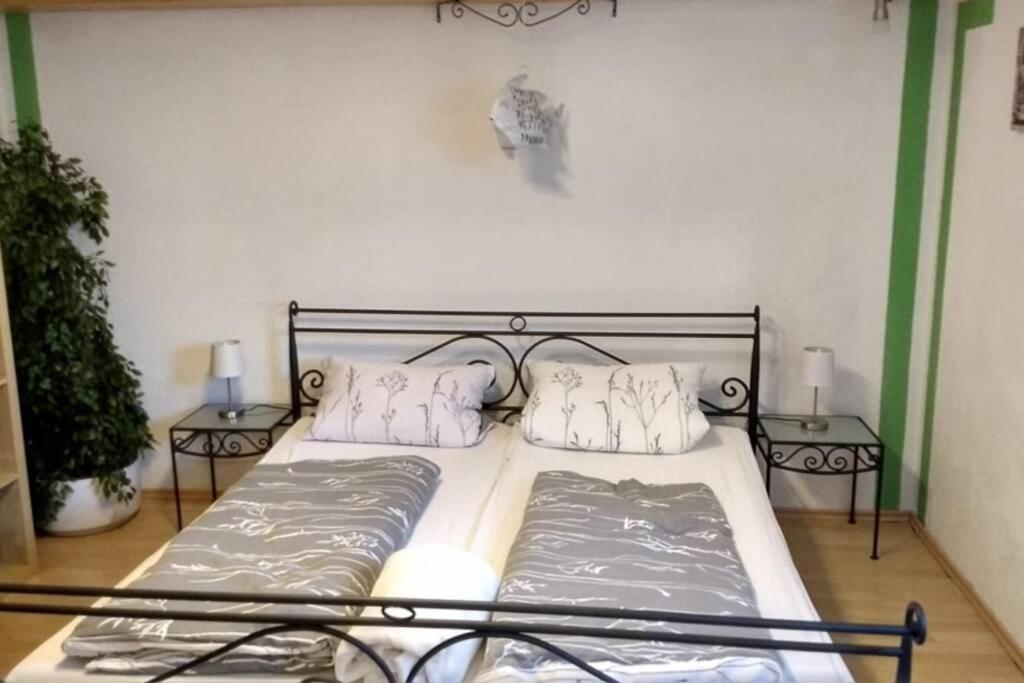 Ruhige Ferienwohnung Inklusive Garten Souterrain - Neu Renoviert Lachen Dış mekan fotoğraf