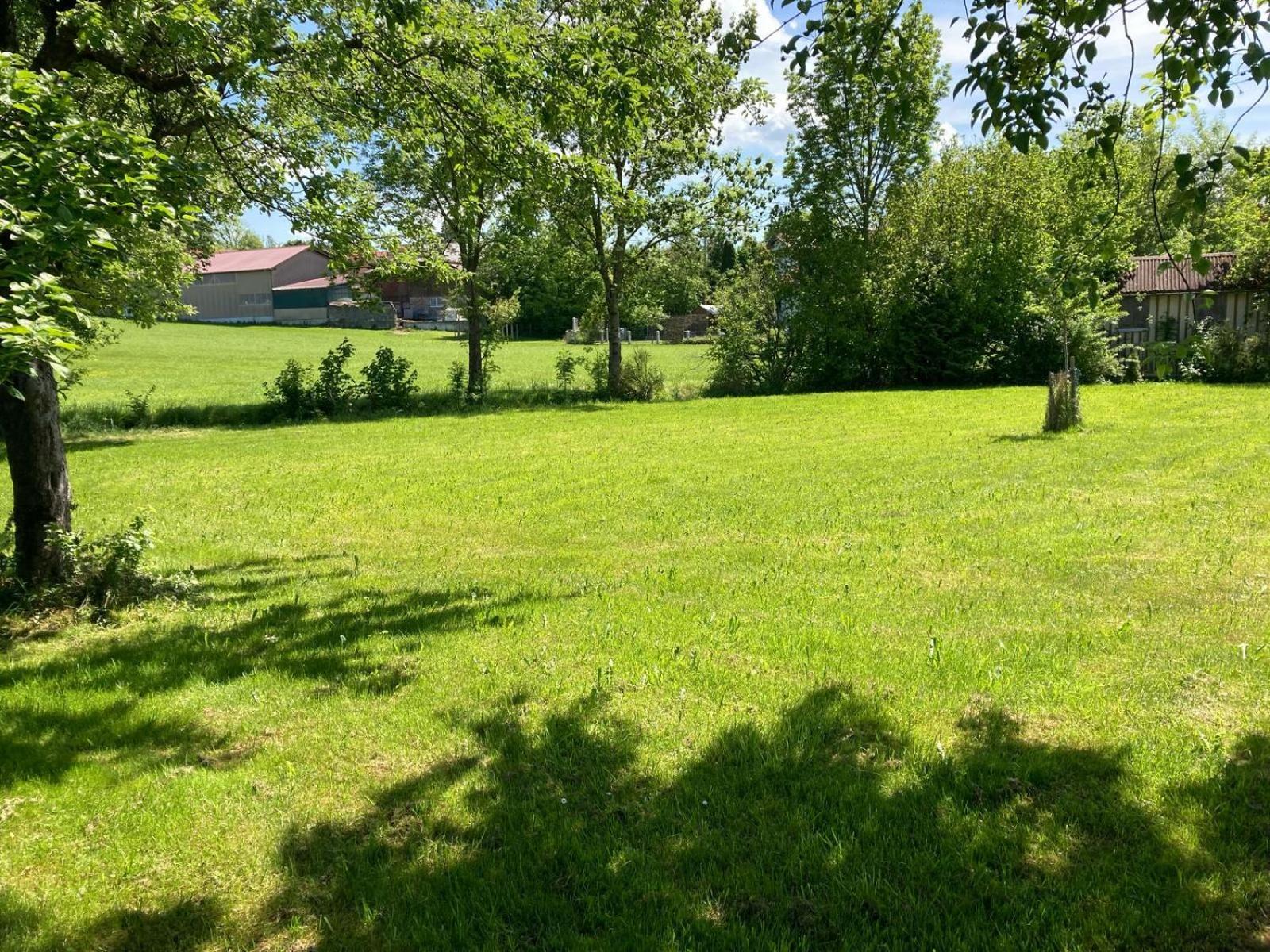 Ruhige Ferienwohnung Inklusive Garten Souterrain - Neu Renoviert Lachen Dış mekan fotoğraf